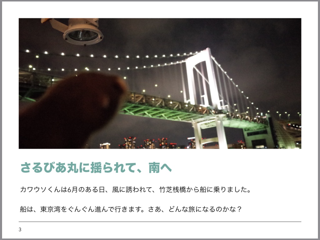 写真集「カワウソくん御蔵島をゆく(イルカ抜き)」※【注意】御蔵島で有名なイルカの写真はほとんどありません!!