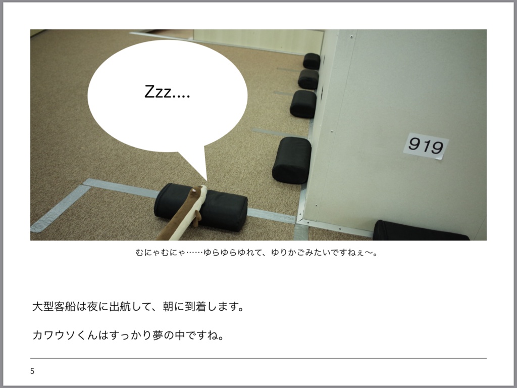写真集「カワウソくん御蔵島をゆく(イルカ抜き)」※【注意】御蔵島で有名なイルカの写真はほとんどありません!!