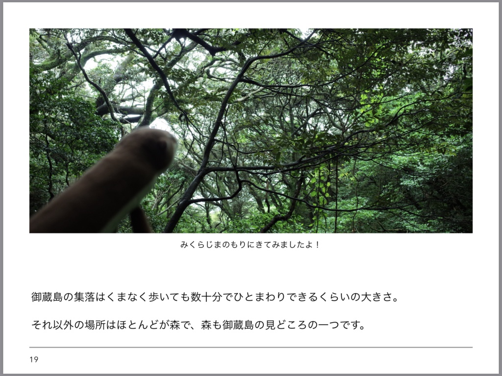 写真集「カワウソくん御蔵島をゆく(イルカ抜き)」※【注意】御蔵島で有名なイルカの写真はほとんどありません!!