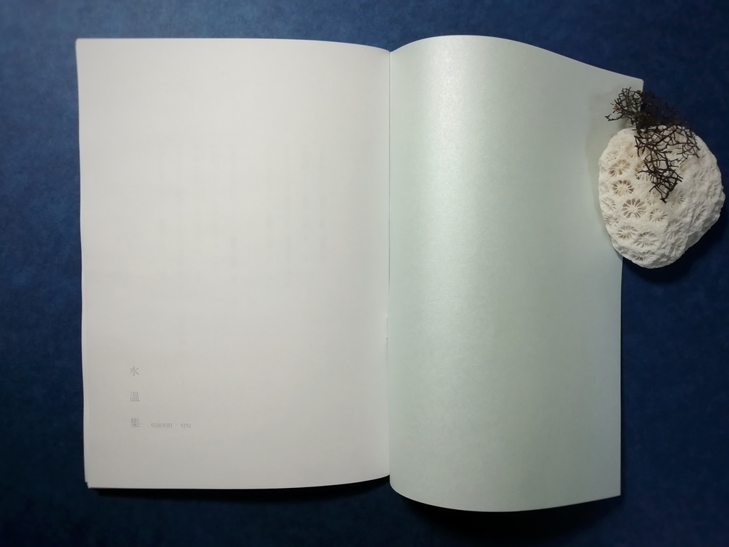 『水温集』(奏薫小説本)