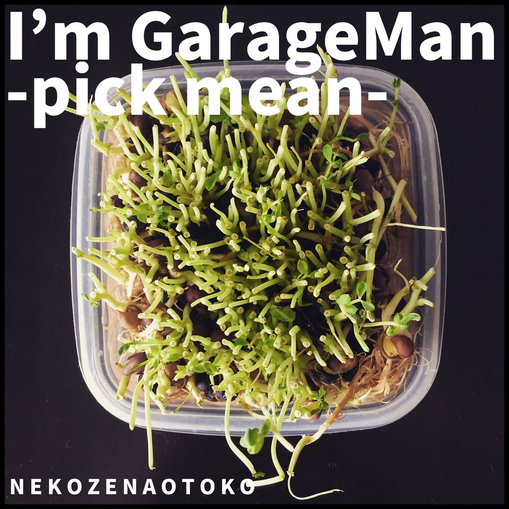 I'm GarageMan -pick mean-