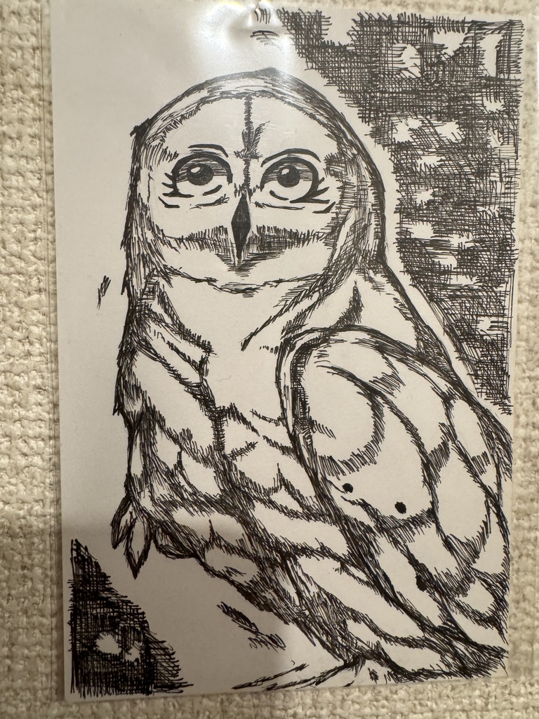 「観梟 — 静かなる目」Silent Observer — The One Who Sees