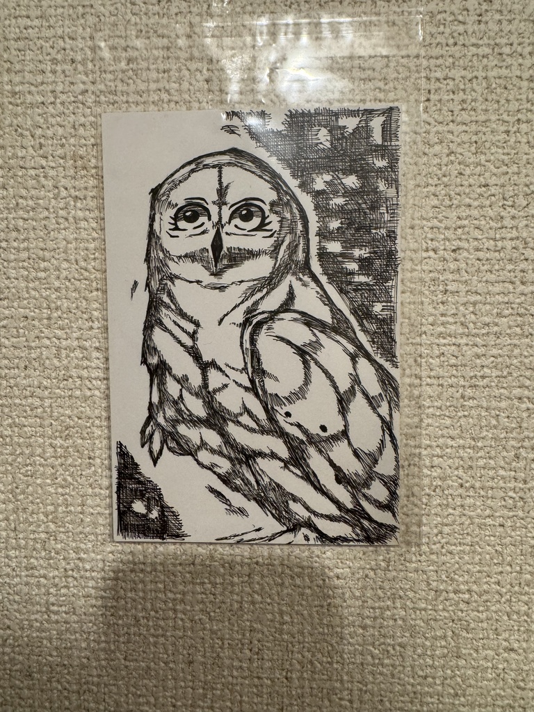 「観梟 — 静かなる目」Silent Observer — The One Who Sees