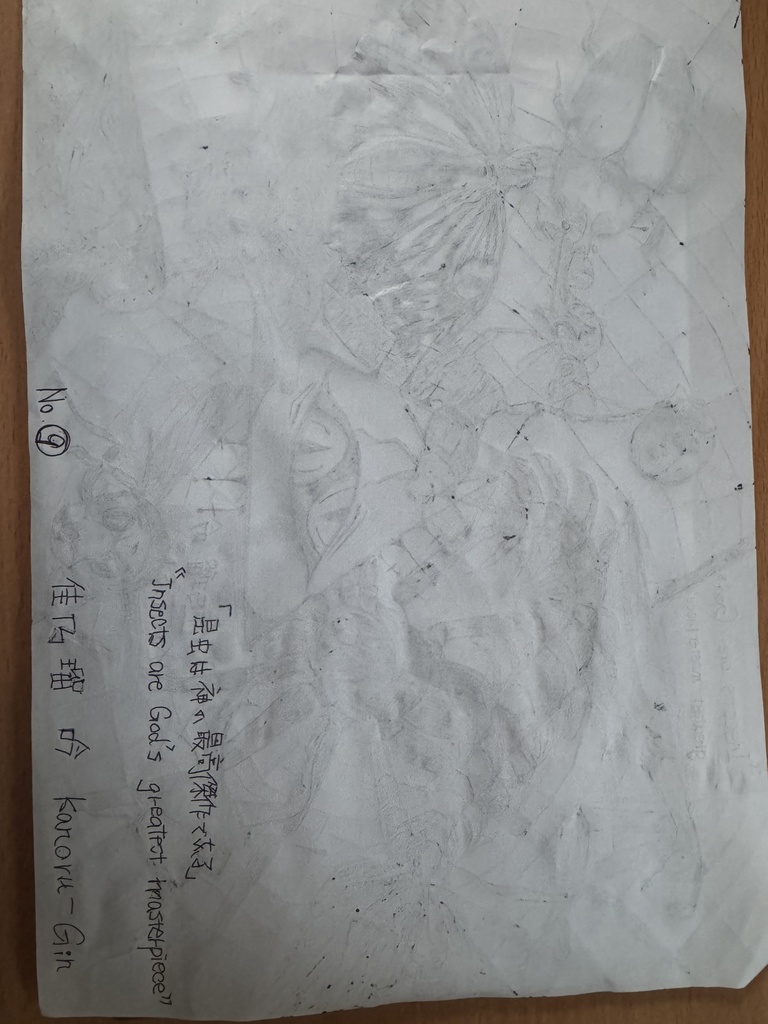 『Insects are God’s greatest masterpiece』