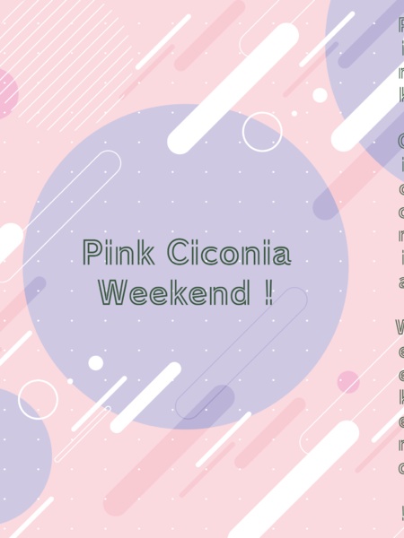 Pink Ciconia Weekend !