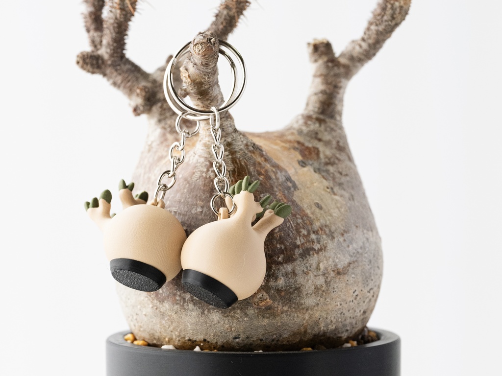 パキポディウム・グラキリス ミニフィギュア