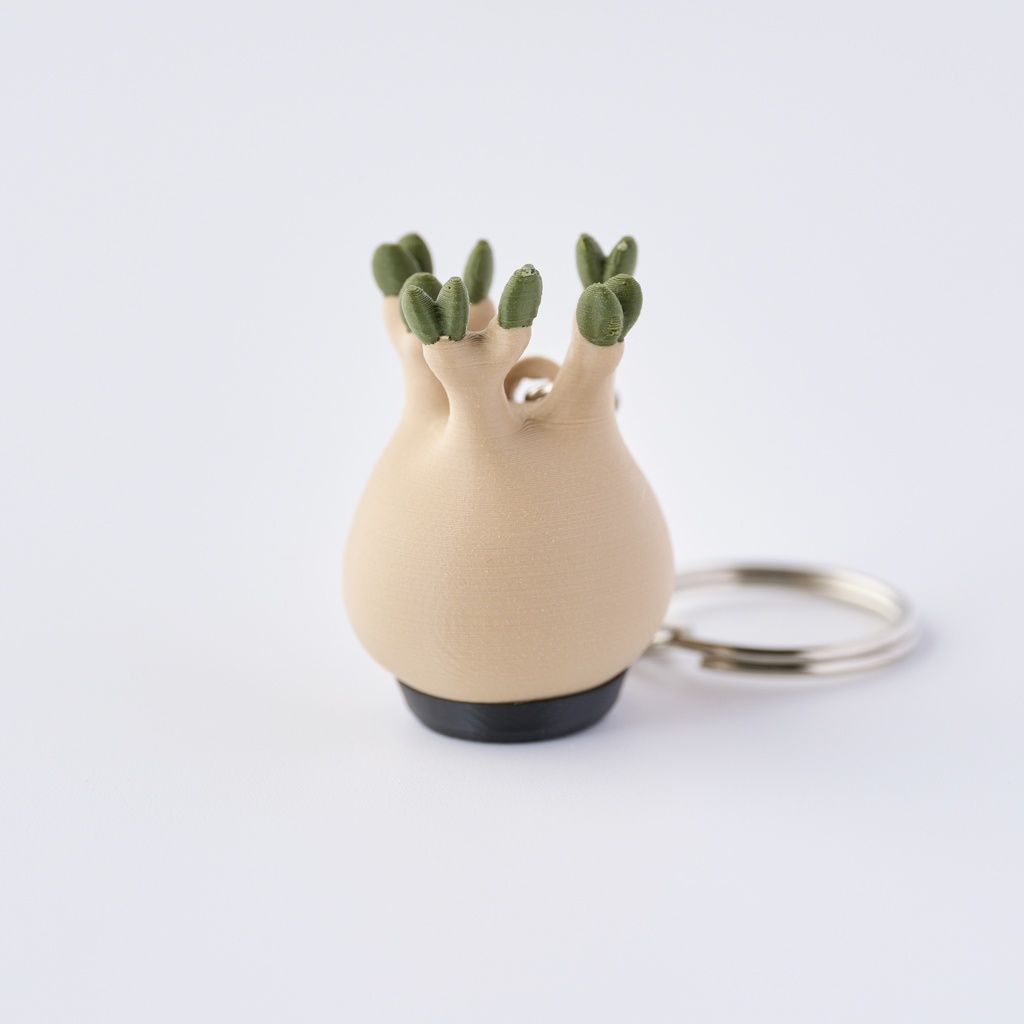 パキポディウム・グラキリス ミニフィギュア