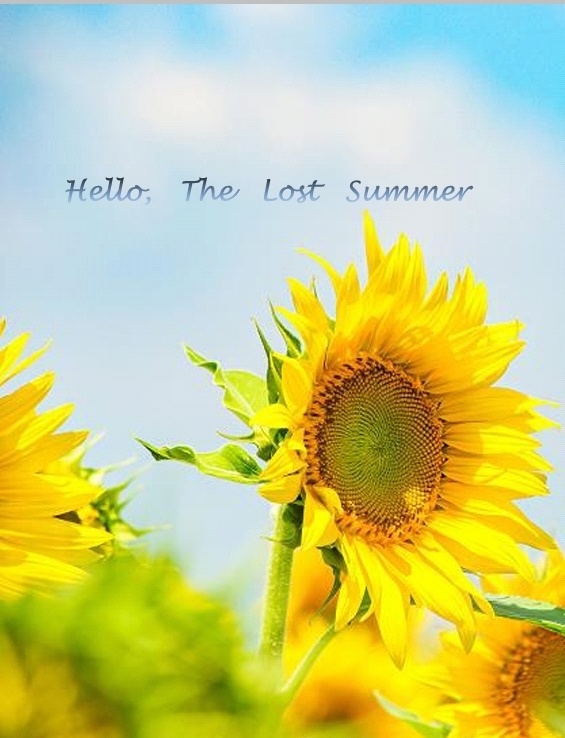 Hello,The Lost Summer