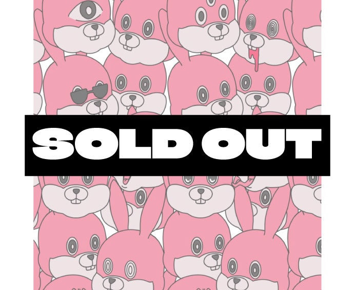 ウサギクリアファイル