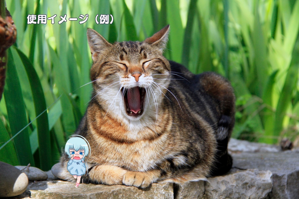 目白まめこアクリルスタンド(全力ダッシュ)