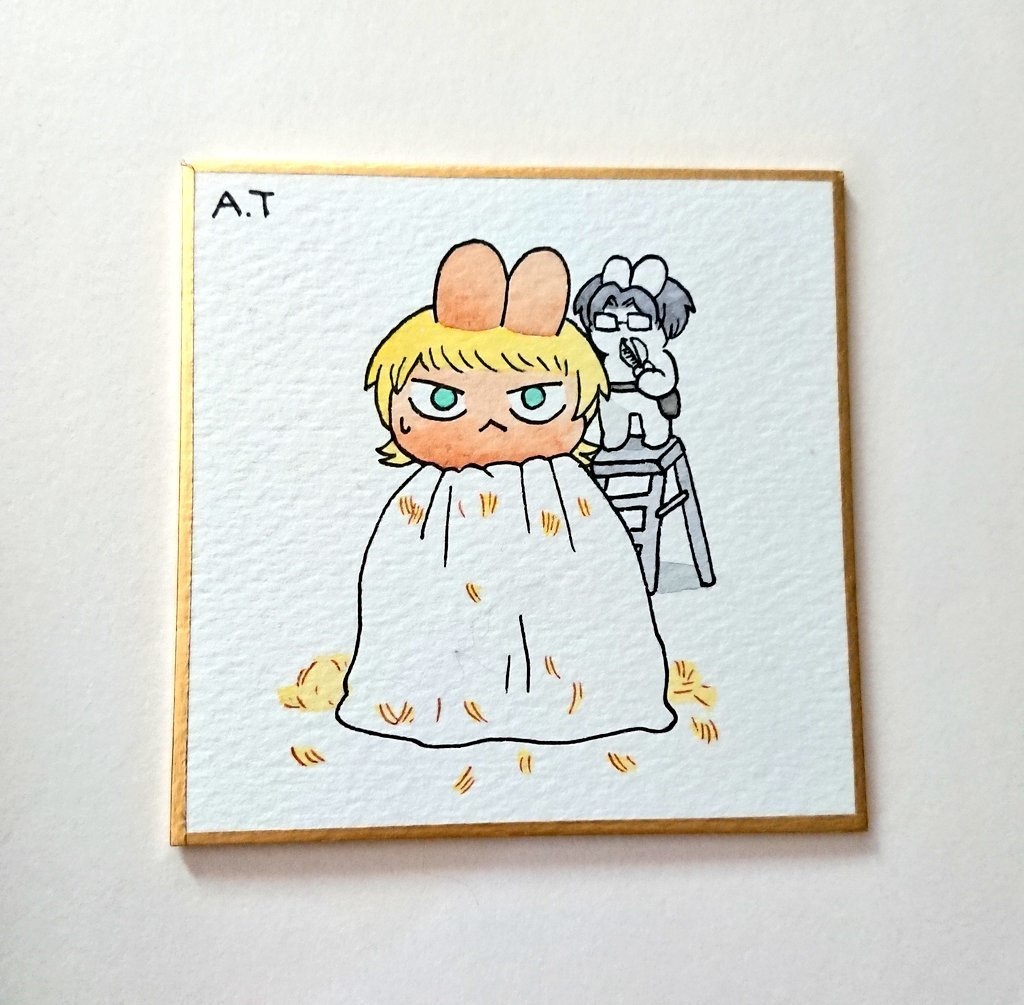 わくうさの散髪