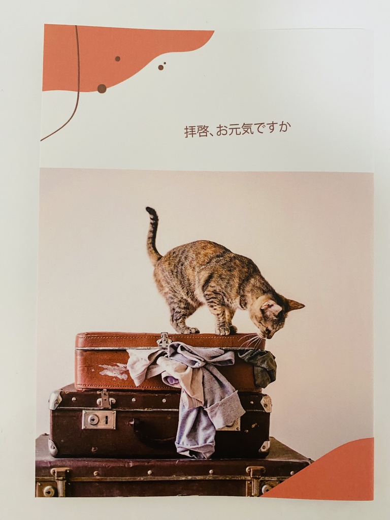 拝啓、お元気ですか
