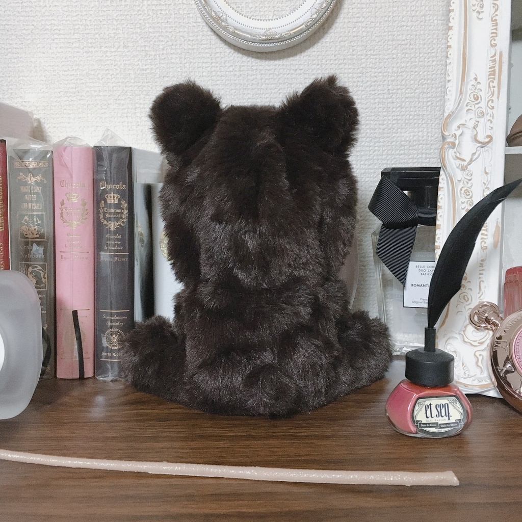 ぬいベア〜(着ぐるみ)ダークブラウン