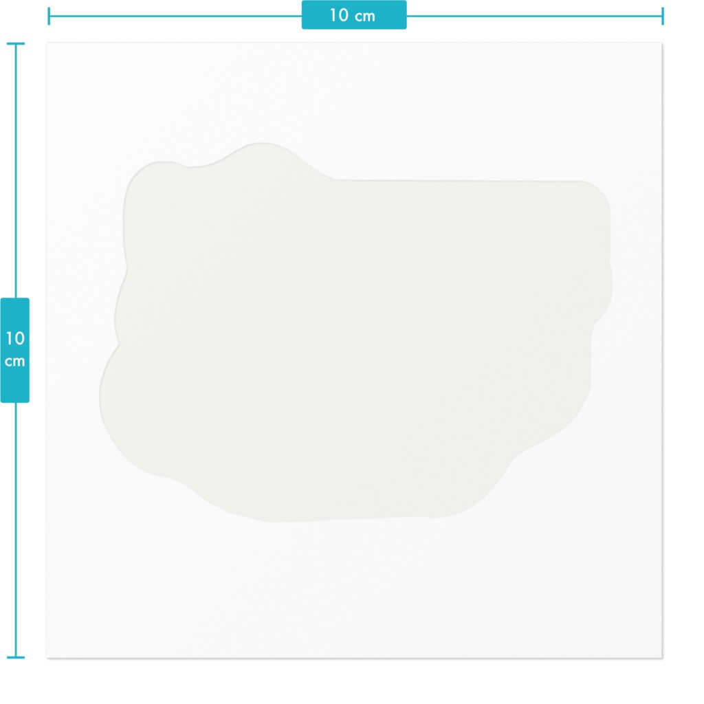 ねこちゃんやぞ