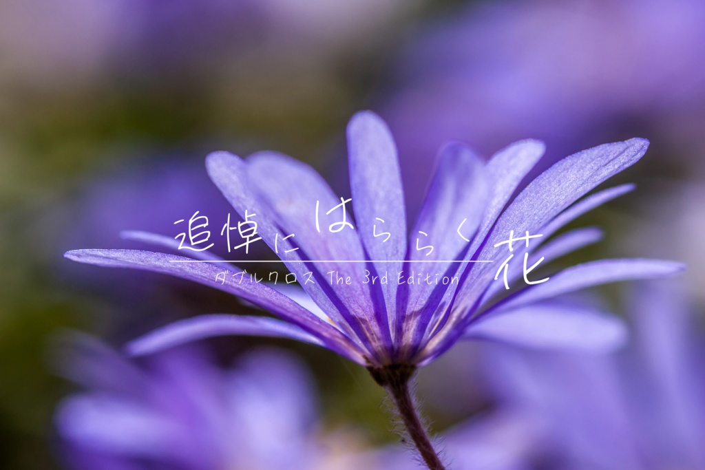 【DX3rd】追悼にはららく花【初心者向け】