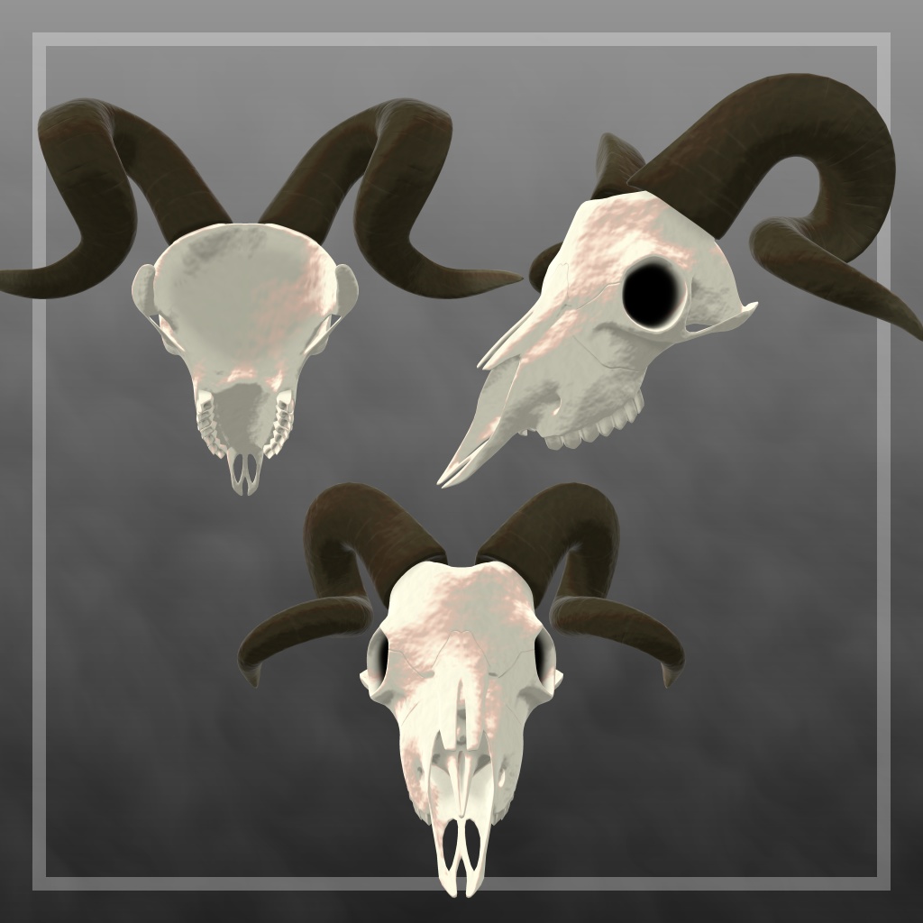 Goat Skull