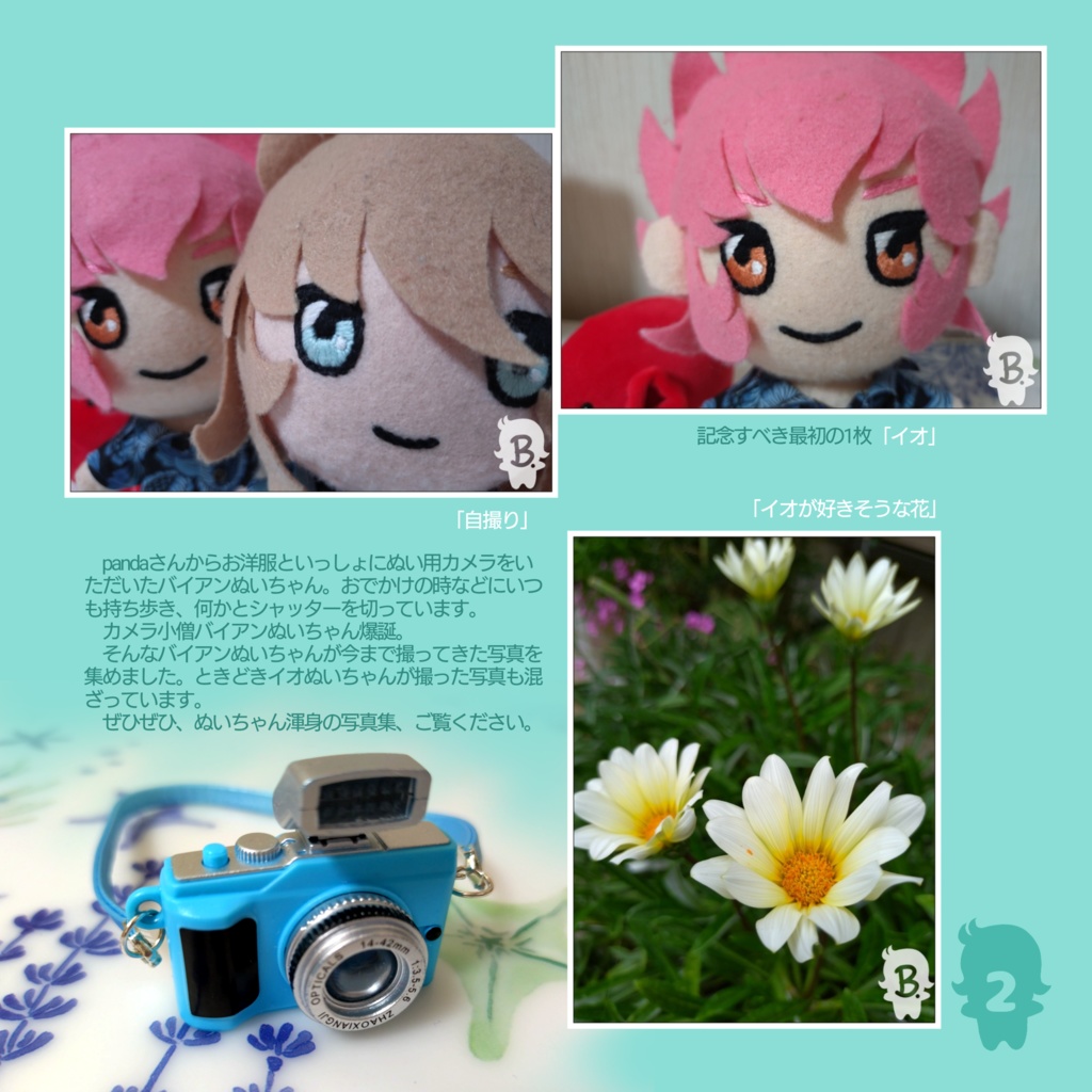 バイアンぬいちゃんが撮った写真集す