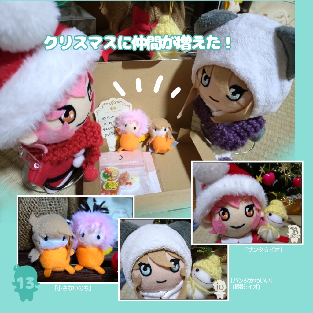 バイアンぬいちゃんが撮った写真集す