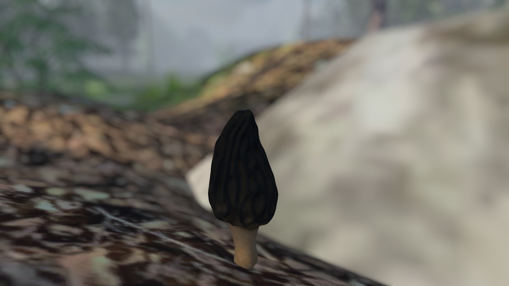 リップシンクでウニョウニョ動くトガリアミガサタケ アバター (PC&Quest両対応)