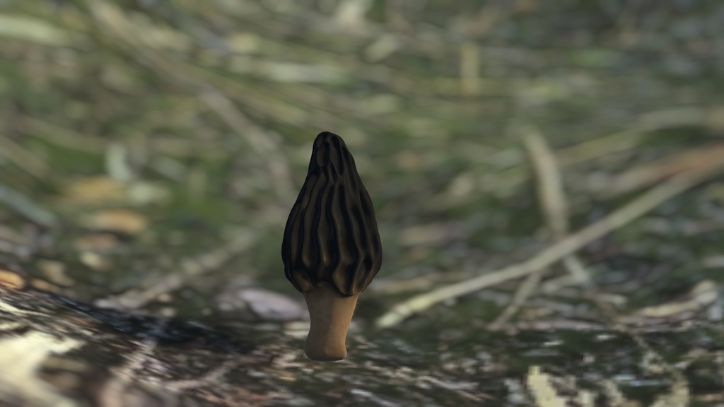 リップシンクでウニョウニョ動くトガリアミガサタケ アバター (PC&Quest両対応)