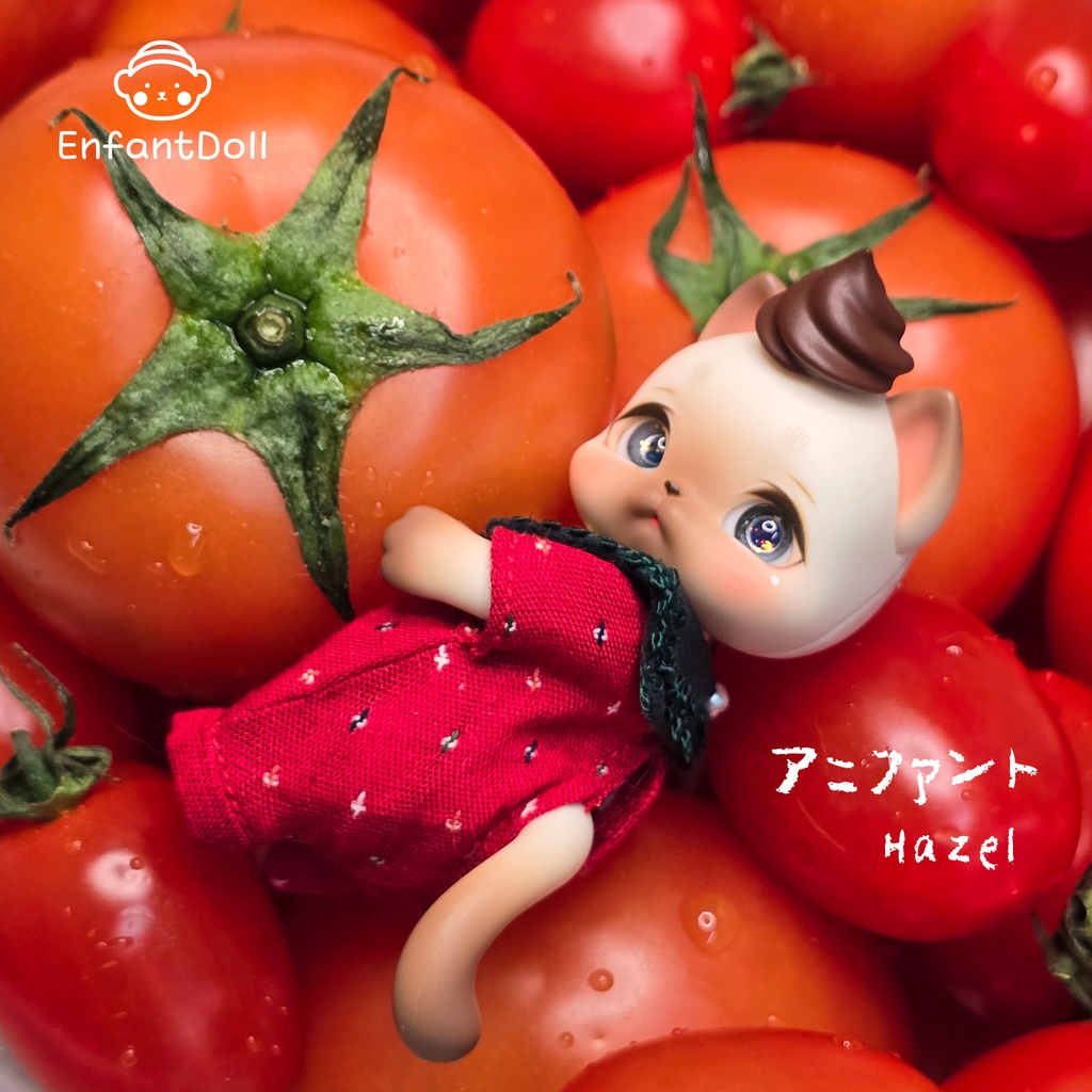[アンパンドル-アニファンHazel] 購入即時発送/ココリアン,クムクク互換 / 猫球体関節人形