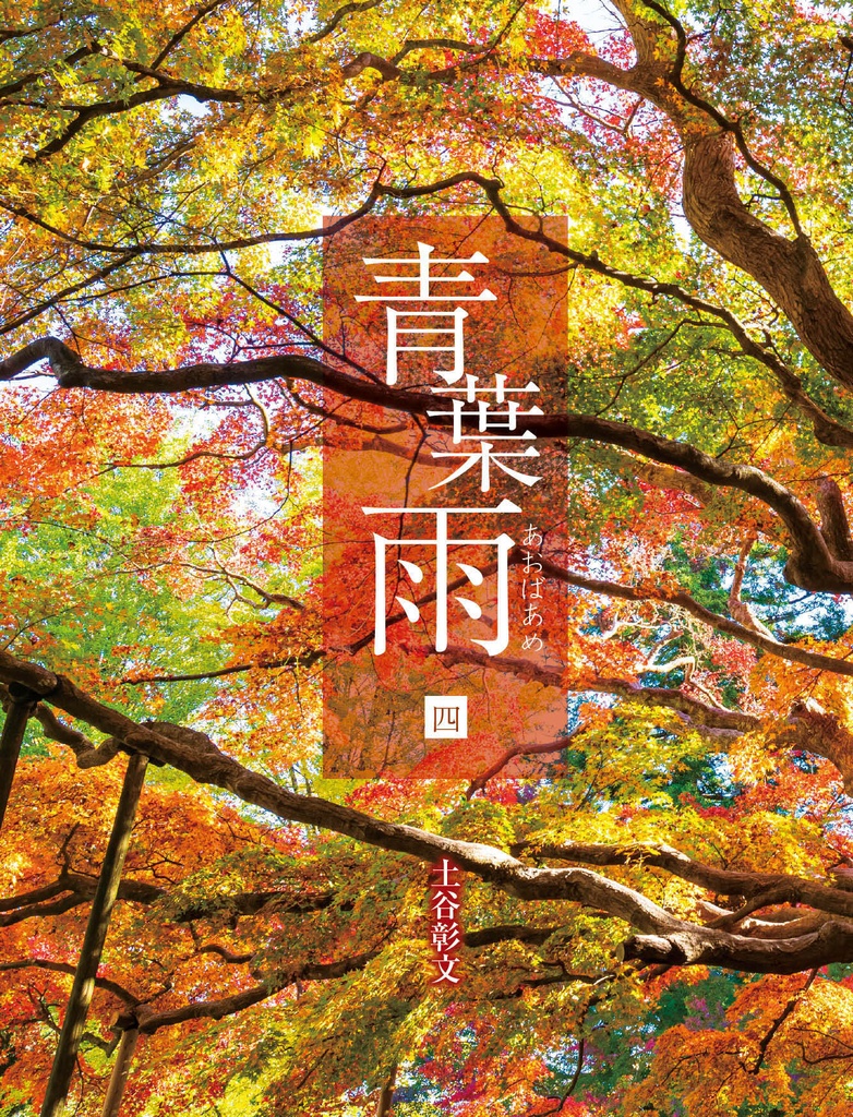 青葉雨 第四巻【傷あり品】※カバーをかけるので見えません※ささやかなオマケ付き