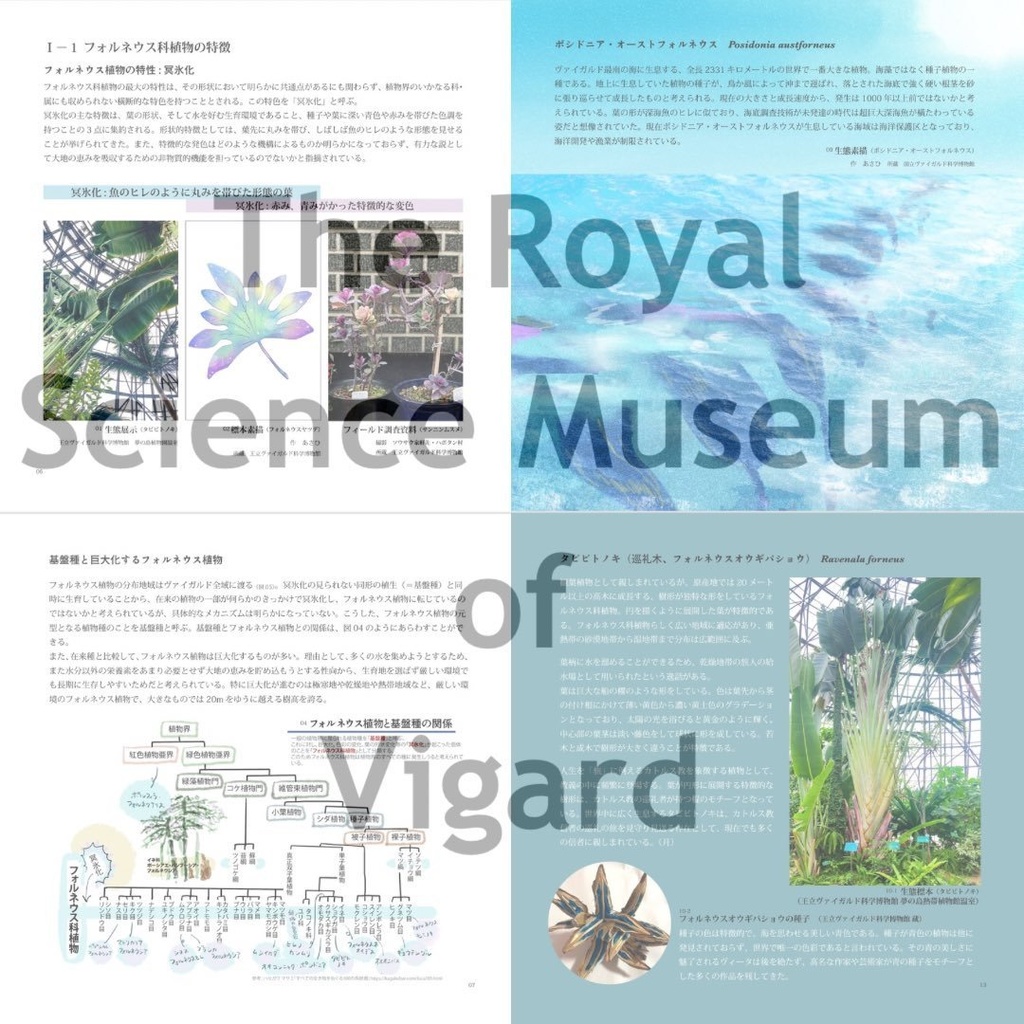 大フォルネウス植物展・図録