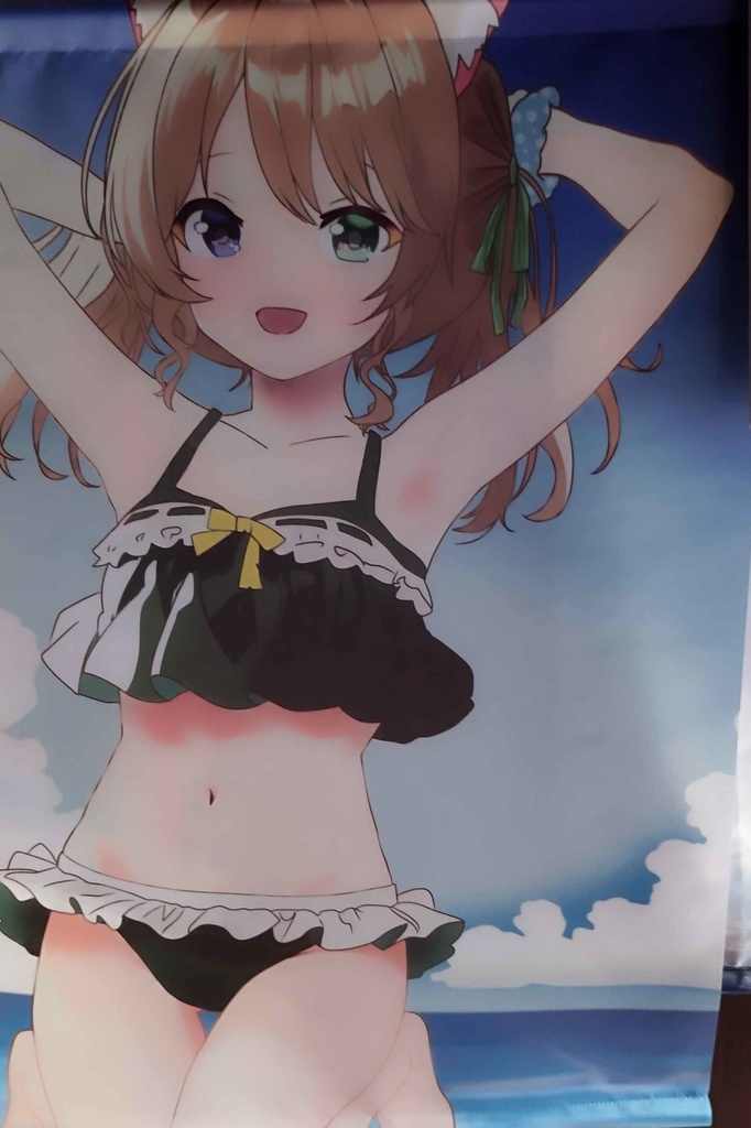 愛洲ろく水着タペストリー