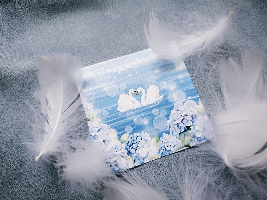 白鳥の湖/プリザーブドフラワーボックス