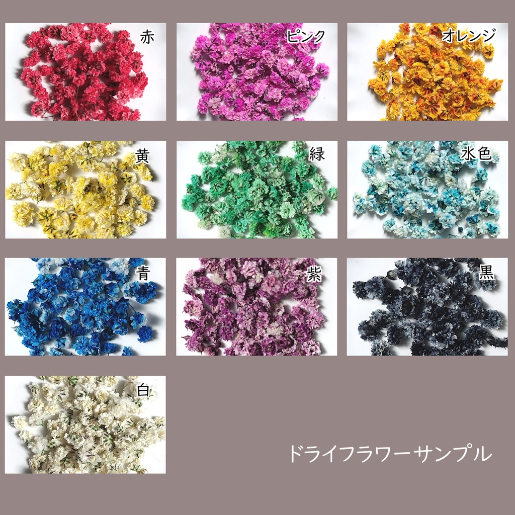 【10色から2色選べる】バイカラードライフラワーのガラスボールピアス