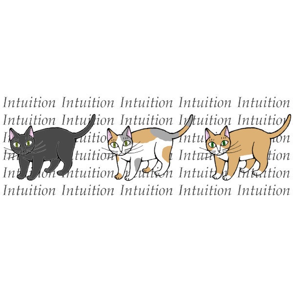 Intuition 直感の猫さん