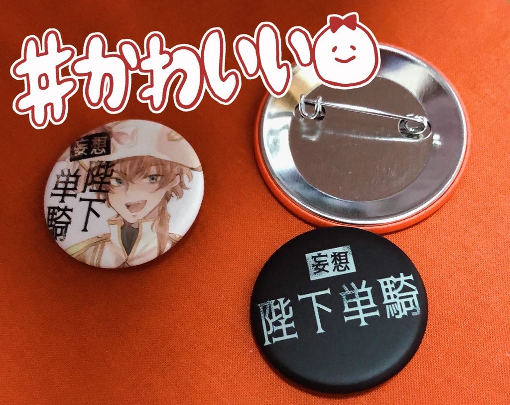 妄想陛下単騎公演パンフレット