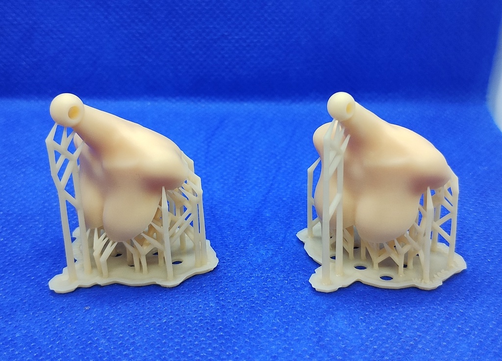 ウォーターラインバストR(大盛)