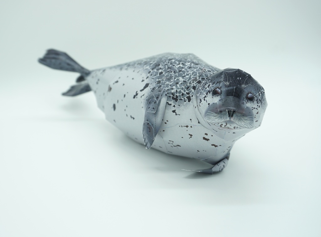 生き物のペーパークラフト:ゴマフアザラシ Paper Animal Making 01