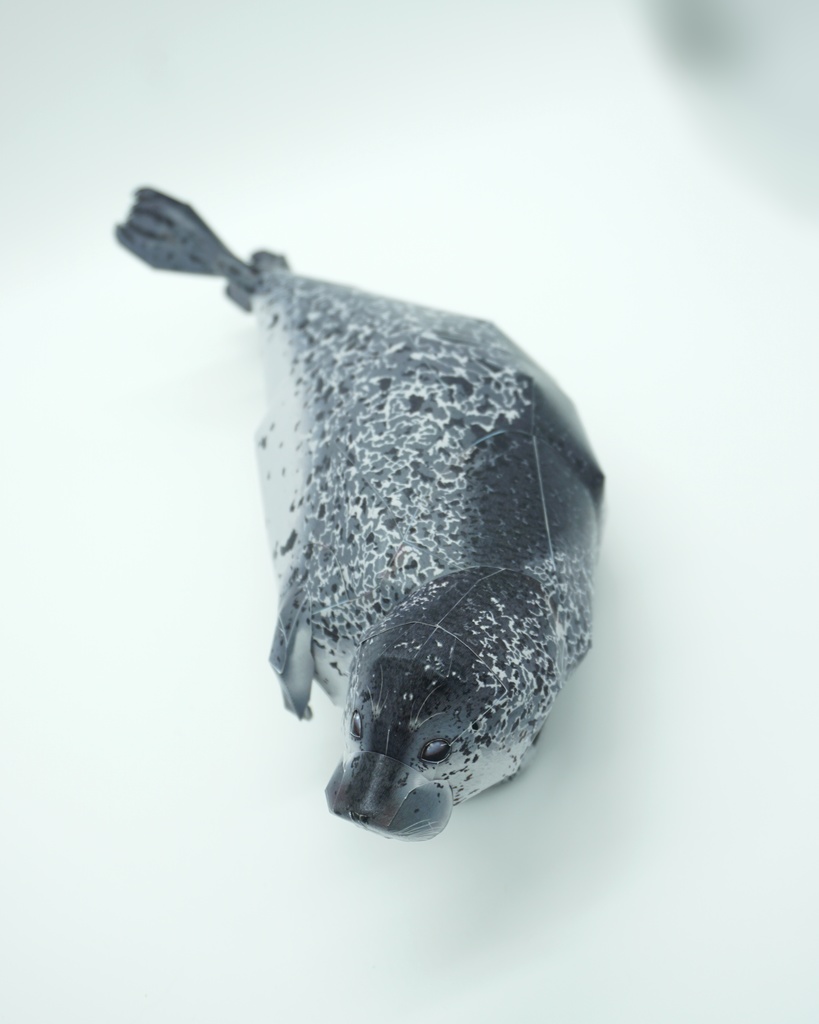 生き物のペーパークラフト:ゴマフアザラシ Paper Animal Making 01