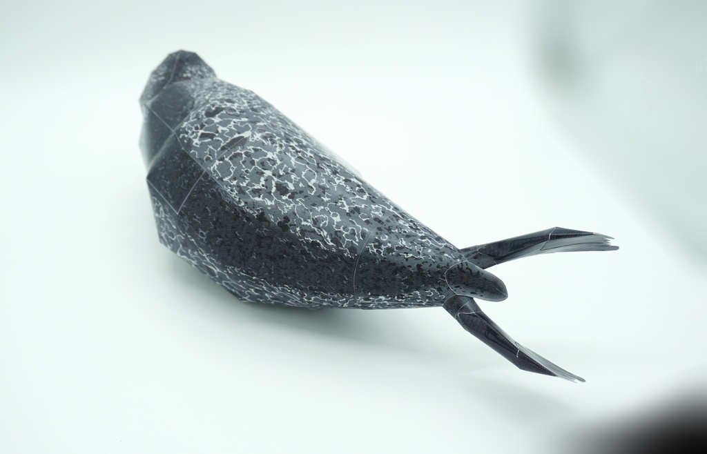 生き物のペーパークラフト:ゴマフアザラシ Paper Animal Making 01