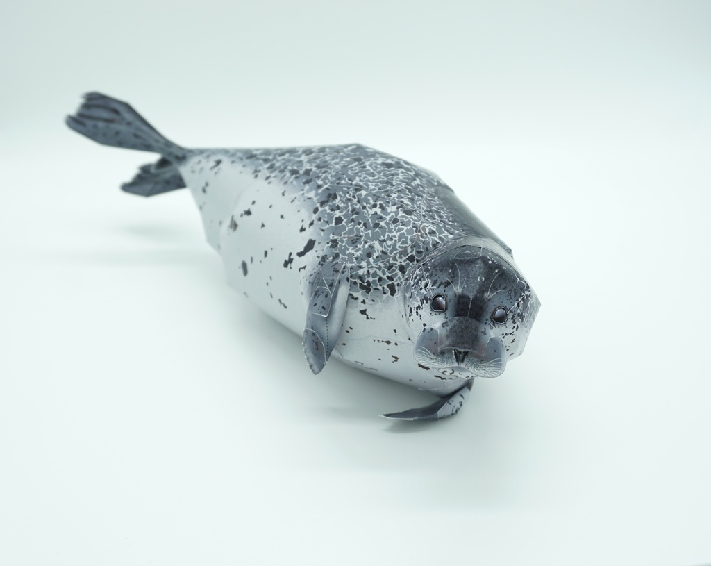 生き物のペーパークラフト:ゴマフアザラシ Paper Animal Making 01