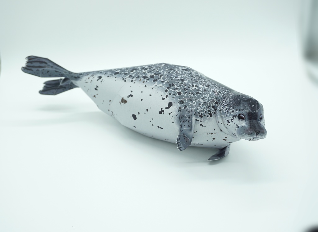 生き物のペーパークラフト:ゴマフアザラシ Paper Animal Making 01