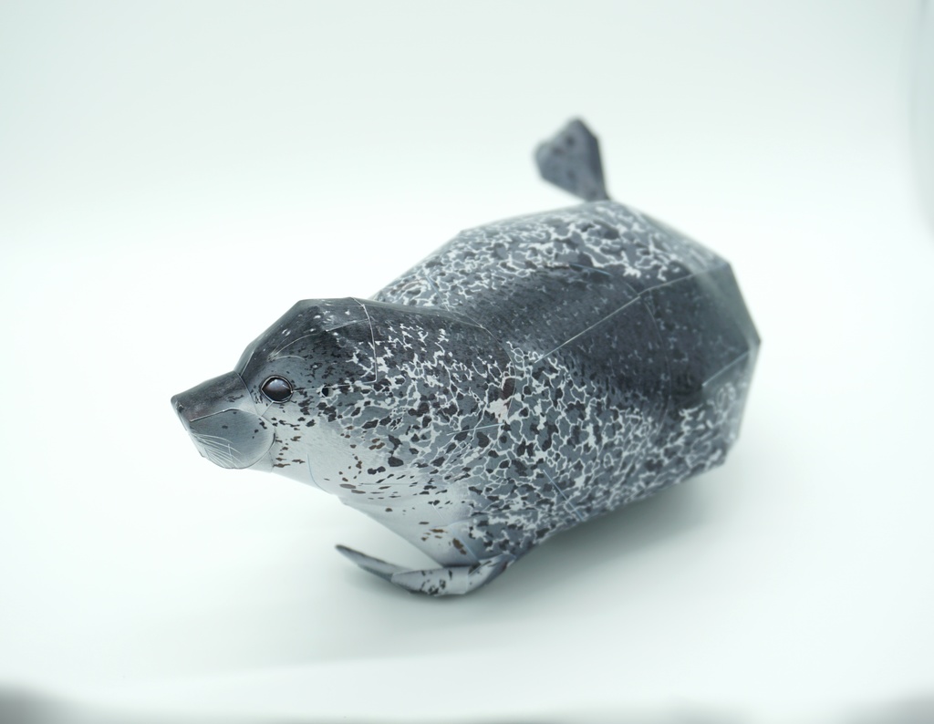 生き物のペーパークラフト:ゴマフアザラシ Paper Animal Making 01