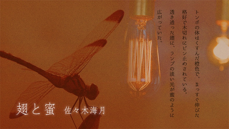 さよなら、おやすみ、またあした