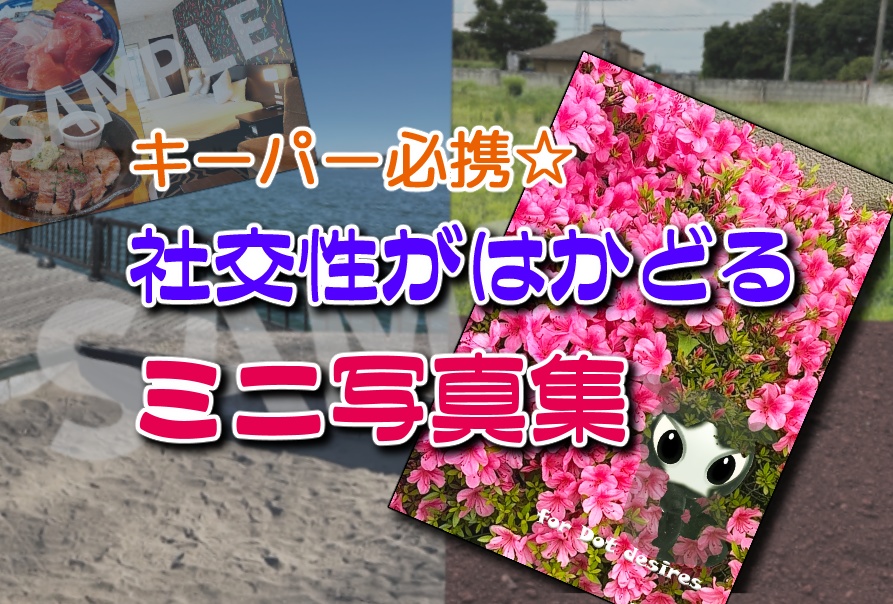 【販売終了】社交性がはかどるミニ写真集