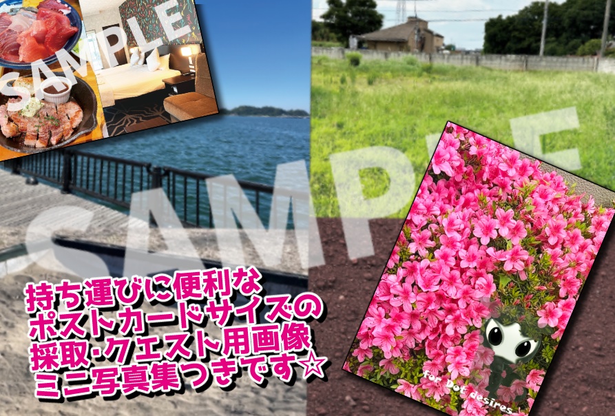 【販売終了】ペリドット非公式解説本 2024 改訂版