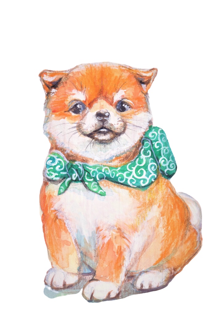 ちび柴さん(ホワイト)