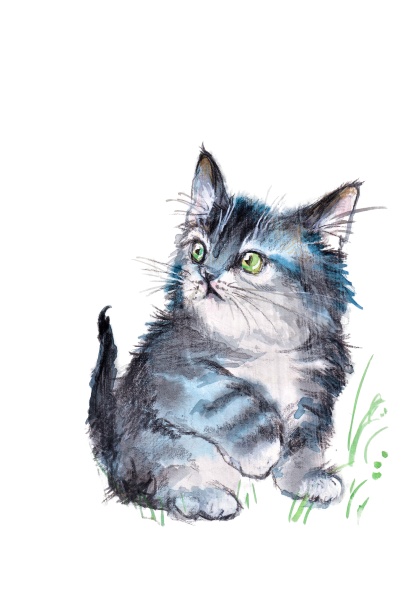 見返り子猫(ブラック)