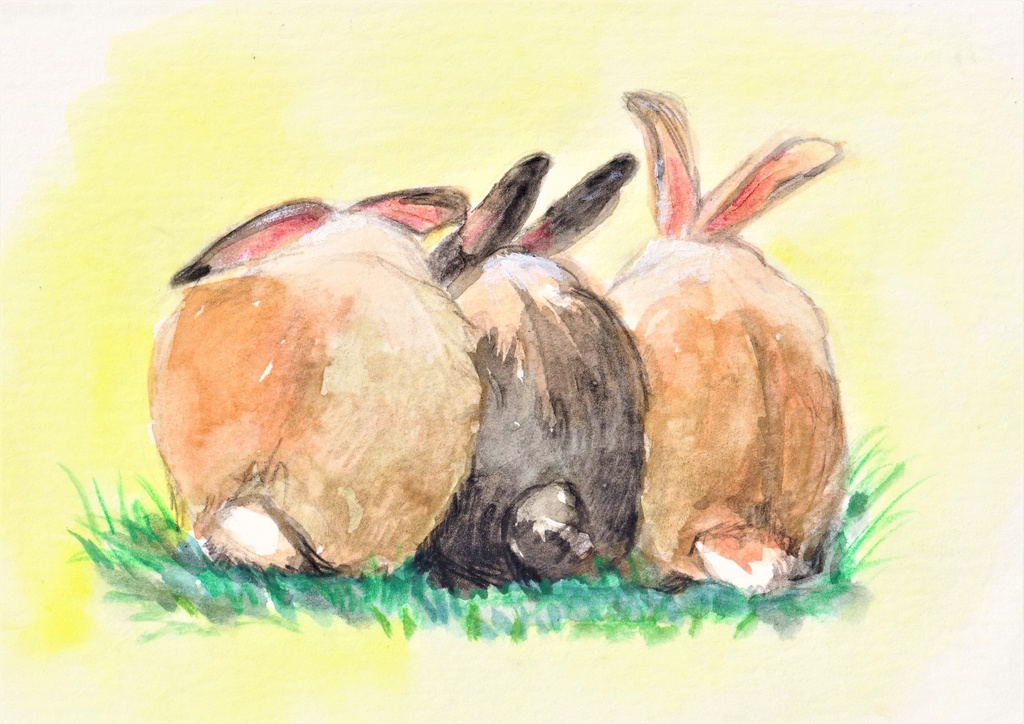 お団子うさぎ(ホワイト)