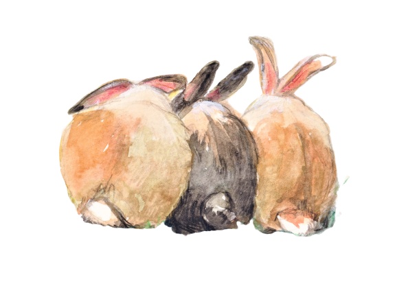 お団子うさぎ(ブラック)