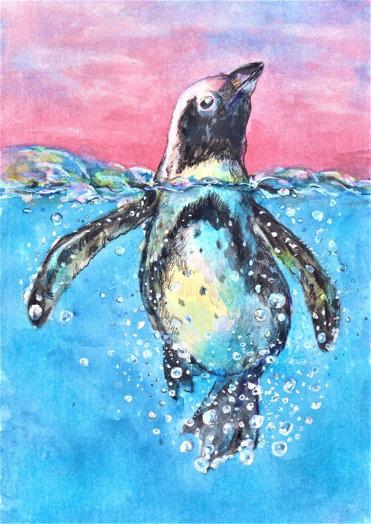 ペンギンa(ブラック)