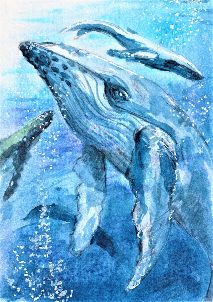 くじら(ホワイト)