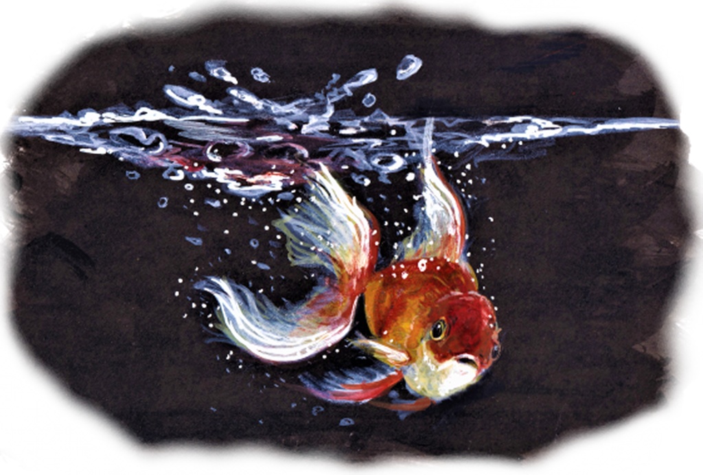 金魚(ブラック)