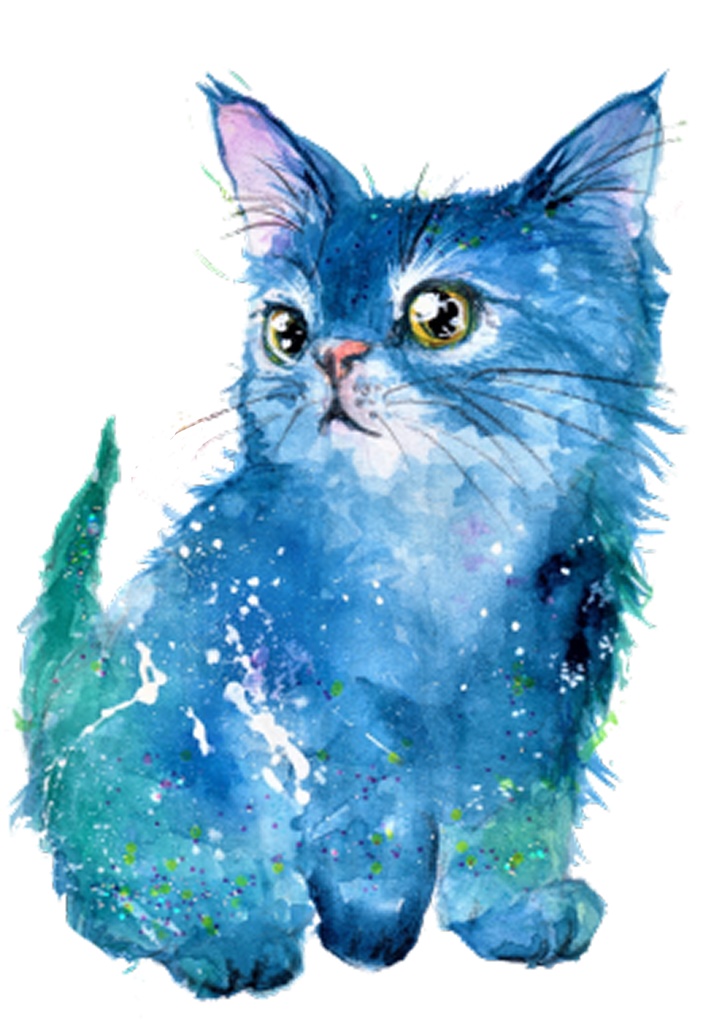 宇宙猫(ブラック)